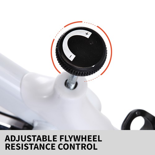 norflex spin bike exercise ball flywheel fitness commercial home workout gym