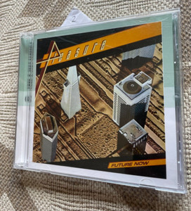 Future Now Pleasure | eBay