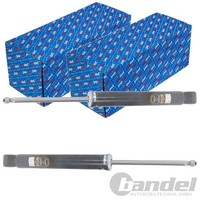 2X Japko Gasdruck StoßDÄMpfer Hinten Passend FÜR | MJ80034