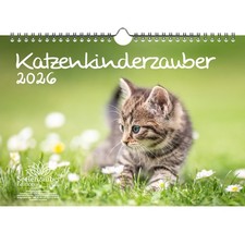 Katzenkinderzauber DIN A4 Kalender für 2026 Katzenkinder Katzenbabys - Seelenzau