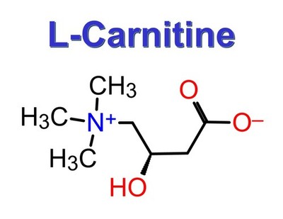 L-Carnitine, CAS 541-15-1