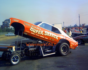 Terry Nova Photo for sale | eBay