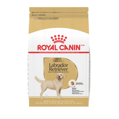 Royal Canin Labrador Retriever Adult Dry Dog Food 30 Lb Bag 453735