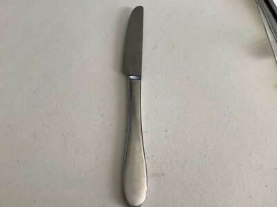Robert Welsh Meridian Satin Stainless Flatware Dinner Knife 