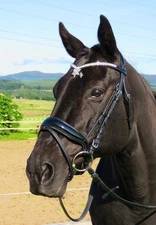 FSS STARBURST V SHAPE CRYSTAL Bling FREEFORM Comfort Cut Away Noseband Bridle 