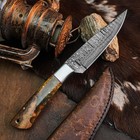 9.1" inch Handmade Damascus Hunting Knife Full Tang Wood Handle Leather Sheath — photo 7