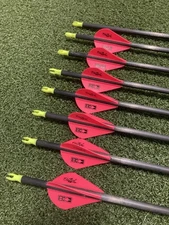 Victory archery RIP 350 Sport Arrows with Blazer Vanes