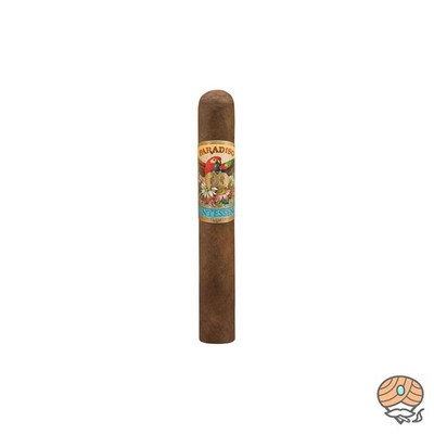 Paradiso Quintessence Robusto Zigarre aus Nicaragua