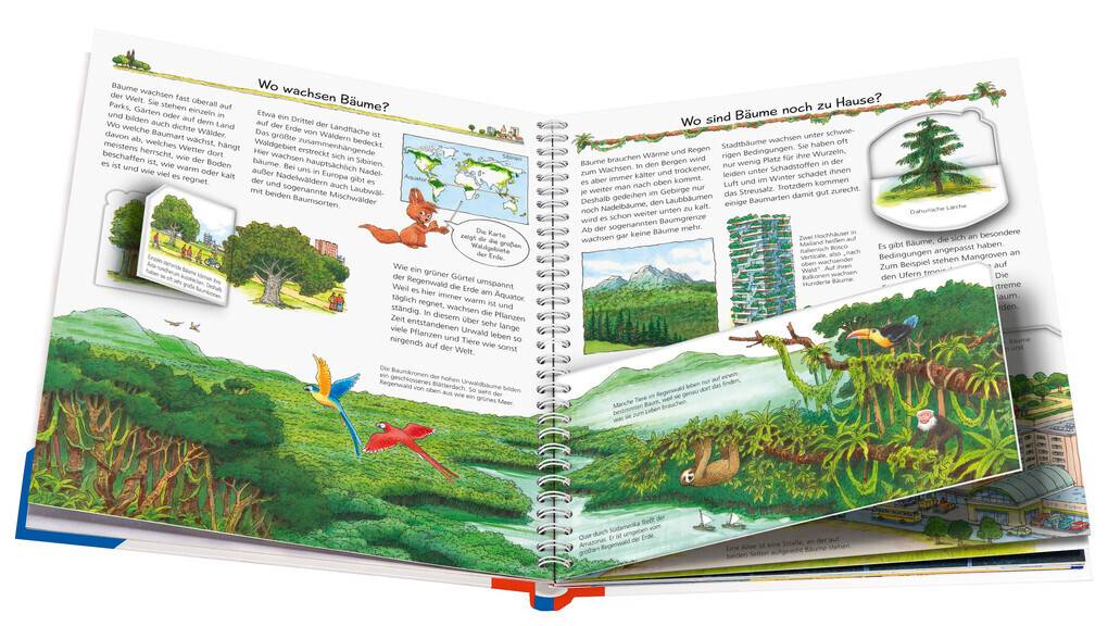 Thumbnail - Wieso? Weshalb? Warum?, Band 52: Alles Über Bäume | Susanne Gernhäuser