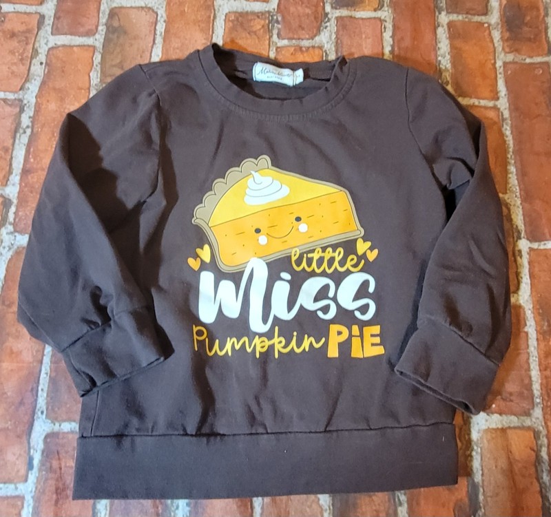 Marie Nicole Boutique Girls Thanksgiving Pumpkin Pie Shirt Sz Lg 4 Fall