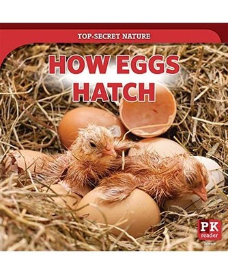 How Eggs Hatch, Marie Rogers