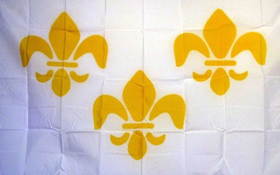 FRANCE FLEUR DE LIS 3 WHITE  3'X5' POLY FLAG