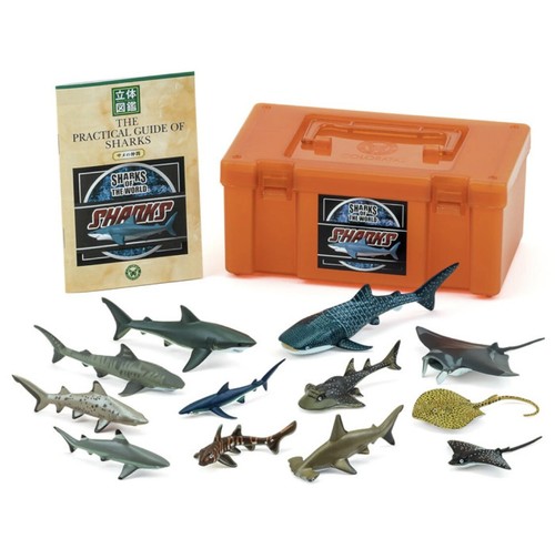 Carolata Shark Figure Set 12 Species Box Included Manual Included Food Japan