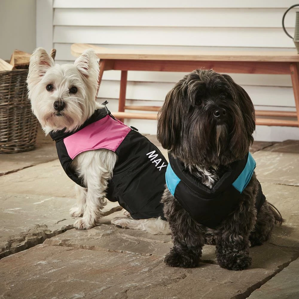 Personalised Named Custom Dog Puppy Pet Warm Padded Jacket Coat