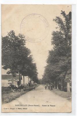 52 FAYL BILLOT, Route De Vesoul
