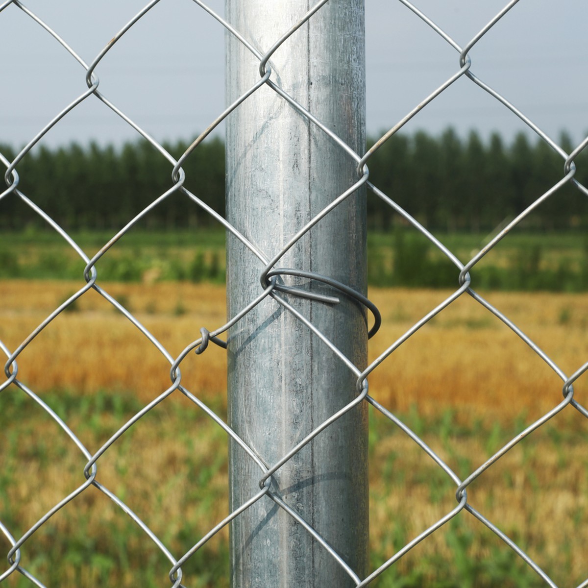 ALEKO Galvanized Steel 6 X 50 feet Roll Chain Link Fence Fabric 12.5-AW  Gauge