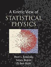 A Kinetic View of Statistical Physics: With 2...