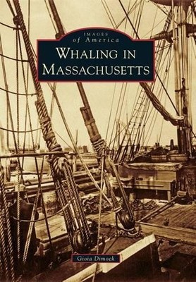 Gioia Dimock Whaling in Massachusetts (Paperback)