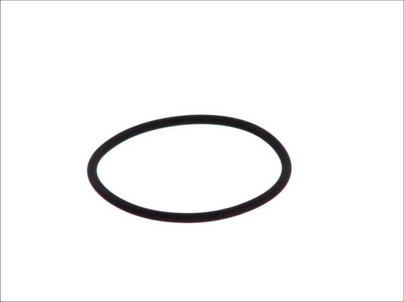 Fits LEMA LE125170 O-ring LE125170 O-ring fits: RVI