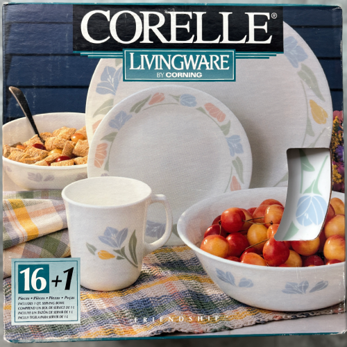 New Corelle Livingware Friendship 16+1 Dinnerware Set 6020775