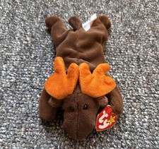 Beanie Baby Chocolate the Moose - 1st-Generation TT 3rd-Generation HT