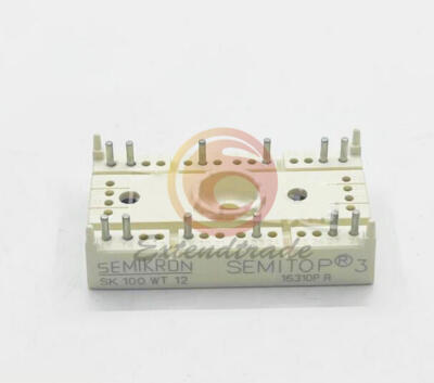 ONE NEW SK100WT12 MODULE #E2