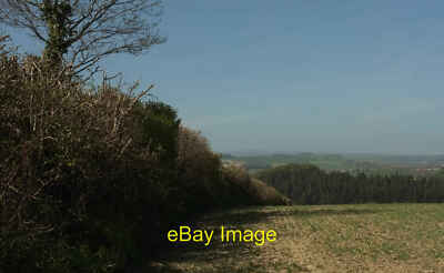Photo 6x4 Field boundary above Hood Manor Shinner's Bridge From the lane  c2021