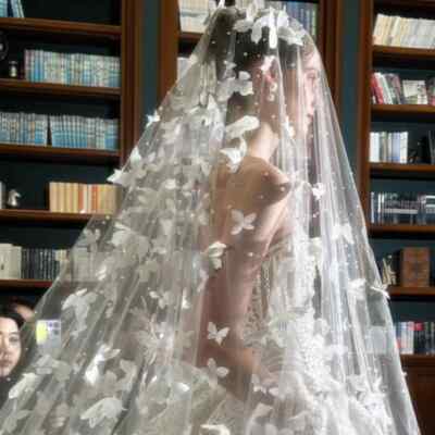 Romantic Butterfly Pearl Beaded Wedding Veil without Comb 1  display picture 1
