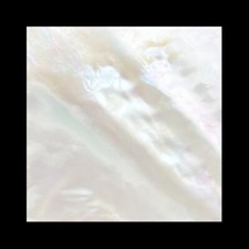 1x Mother Of Pearl 1 9/16"x1 9/16"x1/16" 40x40x1.5mm Polished Jewelry White
