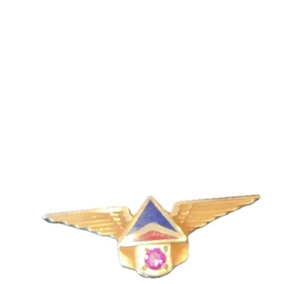 #ad Delta Air Lines 10 Year Service Award Pin 10K Gold Wings Ruby Stone 1970’s $125.00