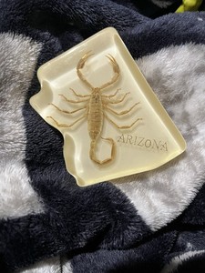 Scorpion