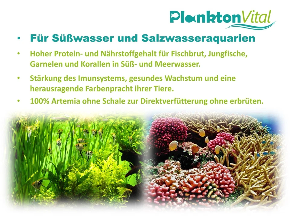 PlanktonVital entkapselte Artemia Eier Meerwasser Süßwasser Fischfutter 100ml - Bild 4 von 4