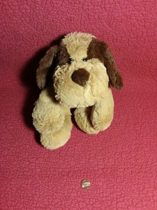circo stuffed dog