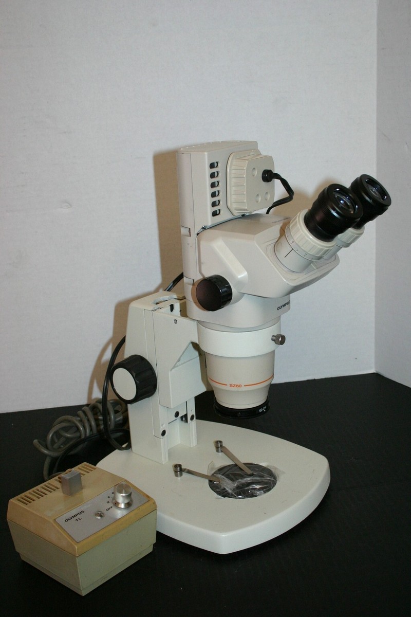 OLYMPUS カメラ imgrc0129686959.jpg
