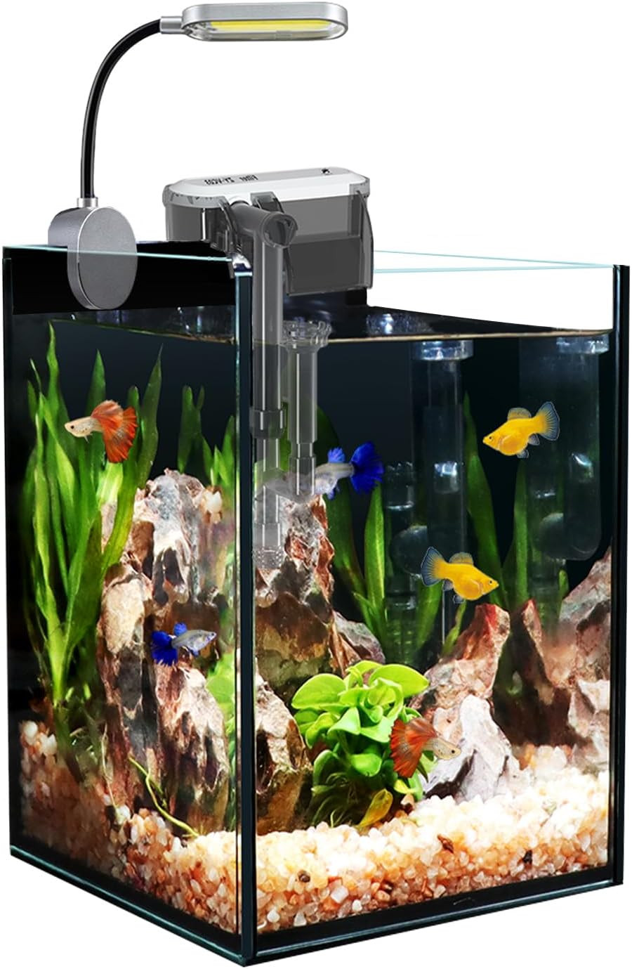 1.5 Gallon Fish Tank Starter Kits, Nano Glass Aquarium with Filter, Led Light fo
