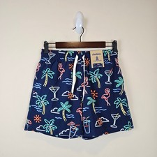 Chubbies Classic 5.5" Swim Trunks Sz S The Neon Lights Stretch Mesh Brief Liner