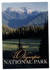 Washington Olympic National Park pines mountains snow-capped ~ postcard sku943
