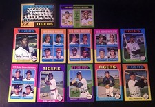 1975 TOPPS Detroit Tigers Team Set VG 