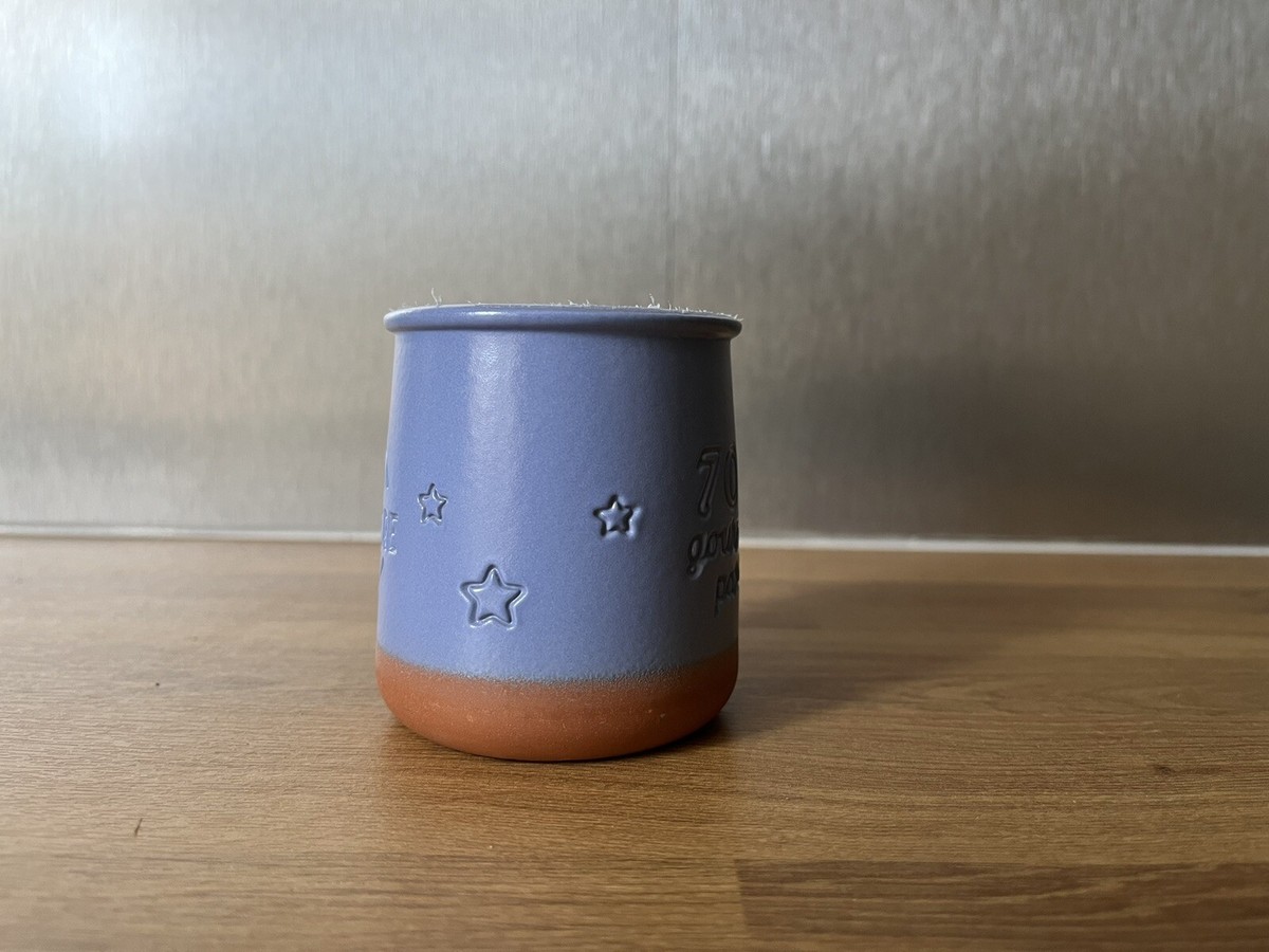 La Fermiere 70 Year Anniversary Blue Terracotta Pot, Excellent