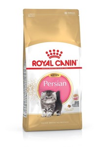 royal canin cat kitten