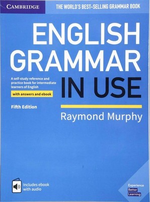 English Grammar in Use (English Grammar in Use)