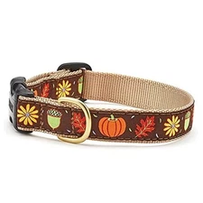  Harvest Time () Dog Collar XX-Large (21 to 27 inches)