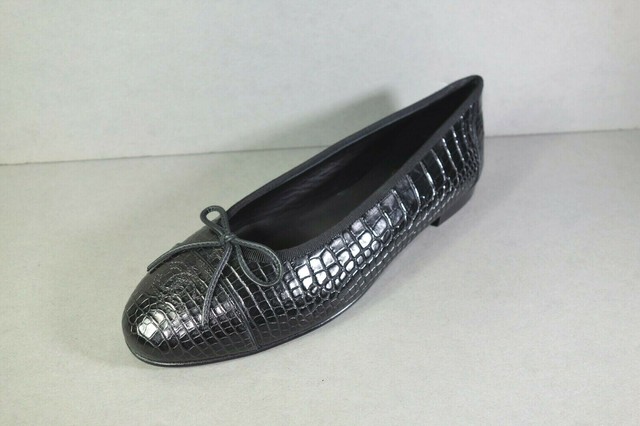 alligator flats