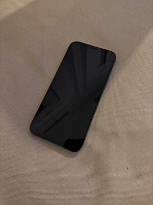 TikTok installed iPhone 12 pro max unlocked 256gb used