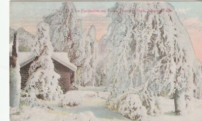 Winter Ice Formation On Trees Prospect Park Niagara Falls New York NY Postcard