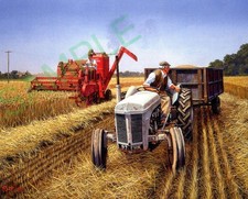 Ferguson TE20 Tractor & Massey Harris combine harvester free p&p UK