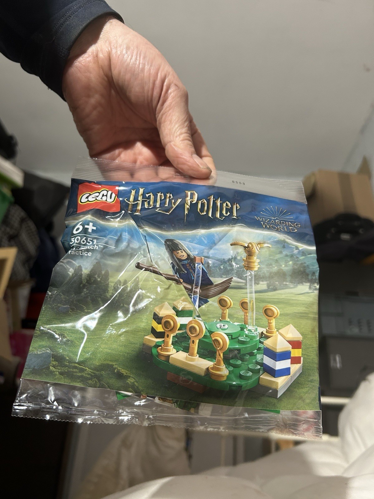 LEGO Harry Potter Quidditch Lesson Polybag 30706 - Image 12