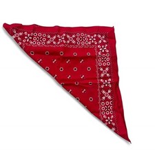 Fast Color Vintage made in USA 100 Cotton Red Paisley Floral Bandana RN 13960