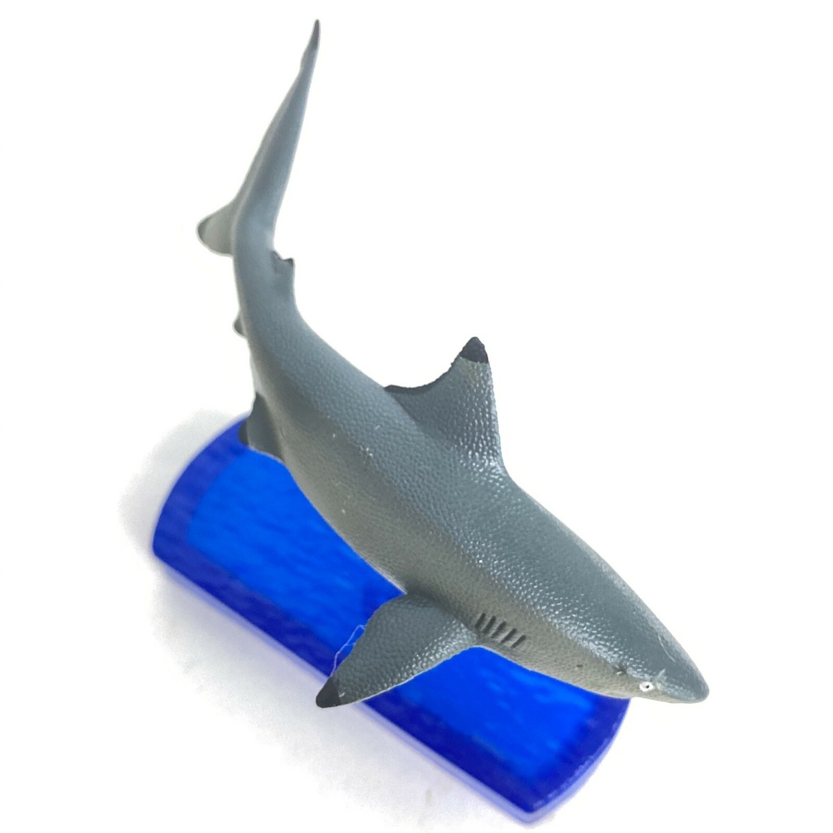 Colorata Sharks of The World DX Figure Bull Shark import