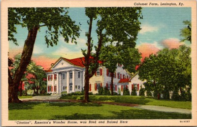 #ad Lexington KY Calumet Farm Citation Bred and Raised Here Postcard Unposted $6.39
